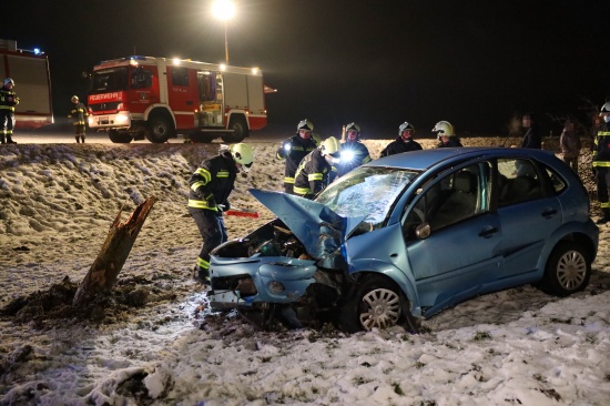 Auto in Hofkirchen im Traunkreis von der Strae abgekommen und gegen Obstbaum gekracht