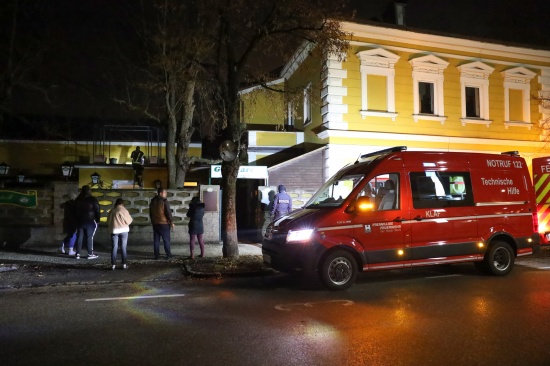 Sperrstunde: Katze nach Gasthausbesuch in Wels-Neustadt von Feuerwehr nach Hause geschickt