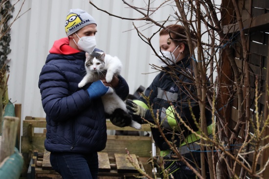 Tierrettung: Kater "Mogli" verirrte sich in Wels-Vogelweide ins Materiallager eines Unternehmens