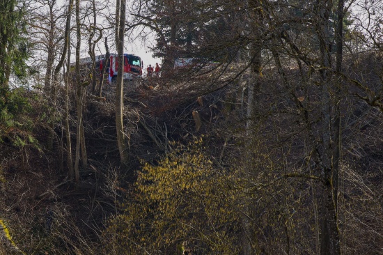 Tdlicher Forstunfall: Mann bei Waldarbeiten in Haag am Hausruck von Baum getroffen