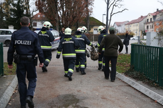 Feuerwehr rettete verirrtes Reh aus Welser Stadtzentrum