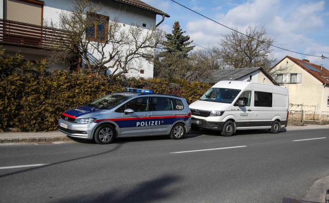 Fettbrand in der Kche eines Hauses in Traun vor Eintreffen der Feuerwehr gelscht