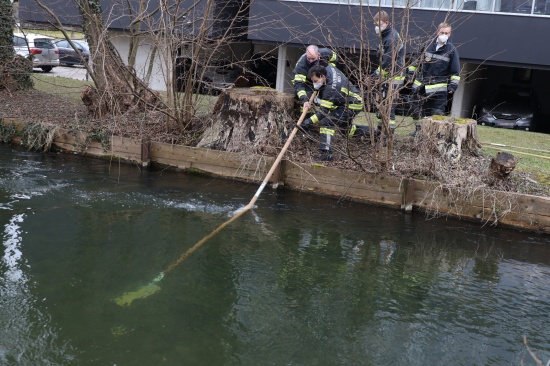 Feuerwehr fischte "auf Einladung der Polizei" in Wels-Lichtenegg im M�hlbach