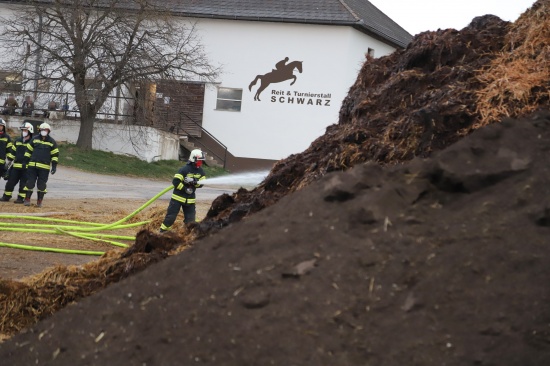 Drei Feuerwehren bei Brand eines berdimensionalen Misthaufens in Hellmonsdt im Einsatz