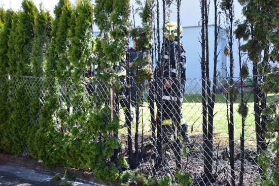 Zwei Feuerwehren bei Brand einer Thujenhecke in Feldkirchen an der Donau im Einsatz
