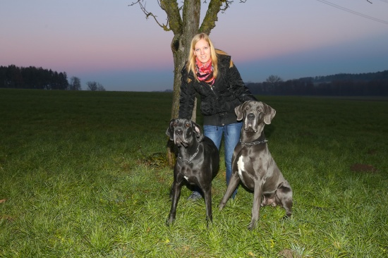 Hundehasser legte in Haag am Hausruck mit Nägeln präparierte Wurststücke aus
