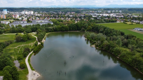 Schwan gesteinigt: Zwei Mdchen sollen schwere Tierqulerei in Wels-Vogelweide begangen haben