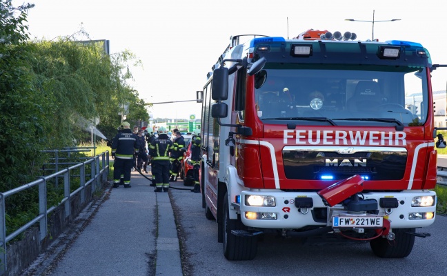 Brand eines hohlen Baumstammes in Wels-Neustadt