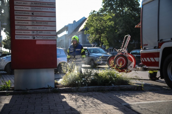 Kleinbrand auf den zweiten Blick - Glosendes Blumenbeet in Marchtrenk rasch gelscht