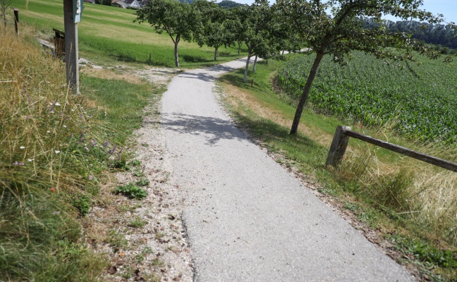 Tödlicher Unfall: Bub (12) auf steilem Weg in Sierning mit Fahrrad gegen Baum geprallt