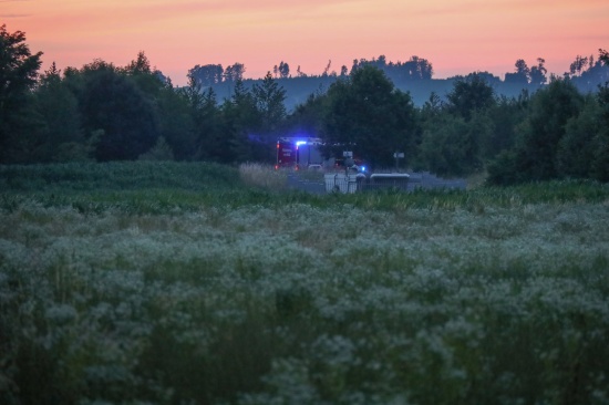 Einsatzkrfte der Feuerwehr bei vermutetem Flurbrand in Wels im Einsatz