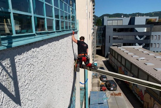 Tierhelfer mit abgestrztem jungen Falken in Linz-Kaplanhof wieder zurck ins Nest geklettert