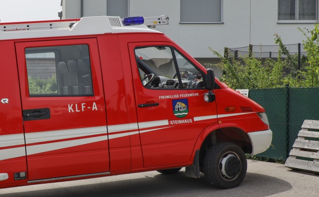 Feuerwehr nach Schlangensichtung in Siedlung in Steinhaus im Einsatz