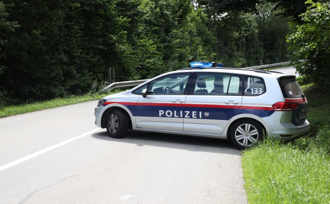 Pferde auf Straße: Polizei sperrte Straßenabschnitt zwischen Gunskirchen und Pichl bei Wels