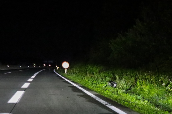 Motorradlenker bei Kollision mit LKW auf Westautobahn bei Regau schwer verletzt