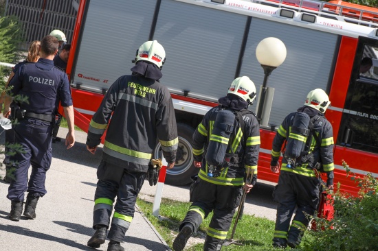 Brandgeruch durch defekte Trsprechanlage in einem Mehrparteienwohnhaus in Wels-Lichtenegg