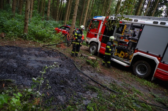 Lscheinsatz in einem Waldstck in Wels-Oberthan