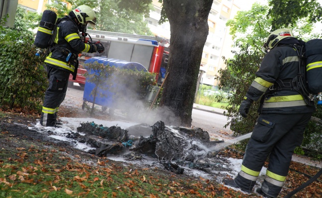 Neuerlicher Brand einer mobilen Toilettenkabine in einem Park in Wels-Neustadt