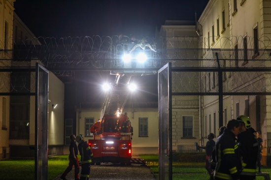 Storch verendete nach Flug in Stacheldrahtzaun der Justizanstalt in Wels-Innenstadt