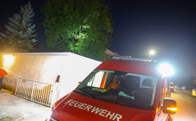 Katze am Baum: Feuerwehr bei Tierrettung in Wels-Vogelweide im Einsatz