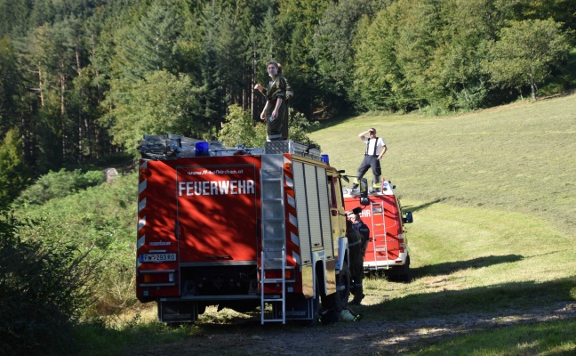 Rettungsaktion nach vermeintlich abgestürztem Paragleiter in Hofkirchen im Mühlkreis