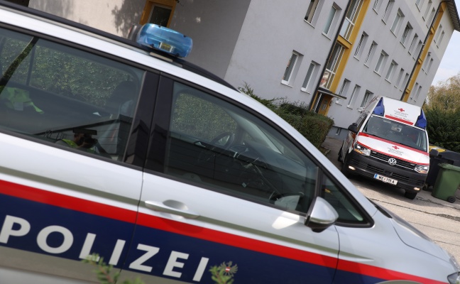 Feuerwehr zu Personenrettung nach Lambach alarmiert