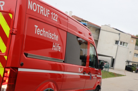 Kleine skulapnatter durch Feuerwehr aus Wohnsiedlung in Wels-Vogelweide gebracht