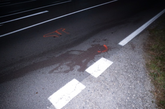 Fußgänger (81) auf Salzkammergut Straße in Gmunden von Auto erfasst und tödlich verletzt