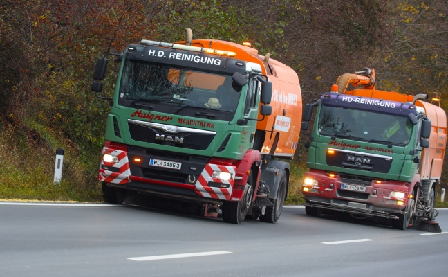 Mais auf einer Straenlnge von 15 Kilometern zwischen Niederneukirchen und St. Florian verteilt