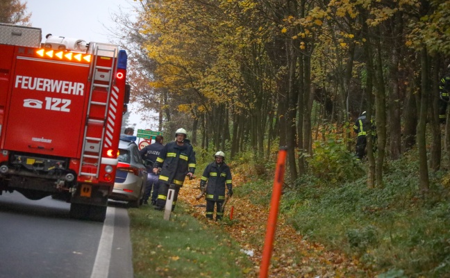 Umgestrzter Baum durch Feuerwehr aus Bschungsbereich der Pyhrnpass Strae in Steinhaus entfernt