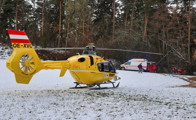 Einsatzkräfte bei Personenrettung nach Forstunfall in Unterweitersdorf im Einsatz