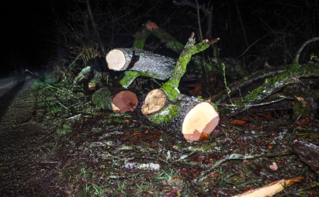 Umgestürzter Baum blockierte Straße in Pichl bei Wels