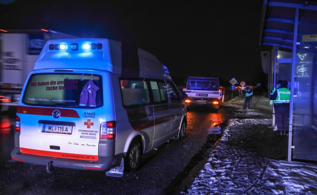 Fugnger in Wels-Schafwiesen von Pritschenwagen angefahren