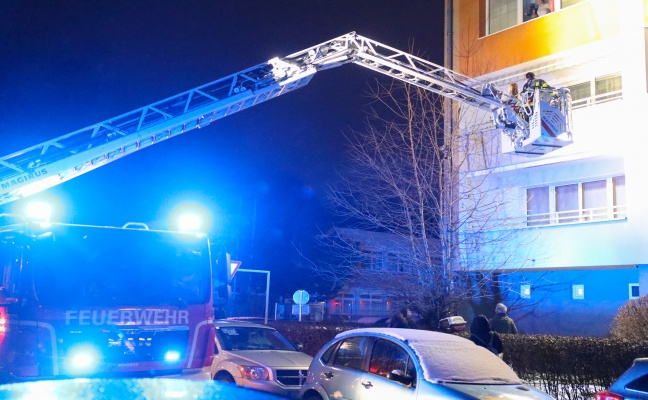 Katze "Stella" mit Hilfe der Feuerwehr-Drehleiter von Baum in Wels-Neustadt gerettet