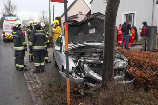 Auto in Wels-Neustadt frontal gegen Baum gekracht