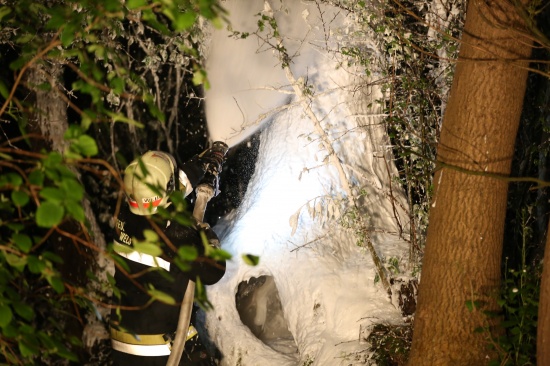 Brand eines hohlen Baumes von der Feuerwehr mit Schaum abgelöscht