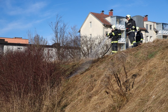 Flurbrand auf einem Erdwall in Wels-Neustadt