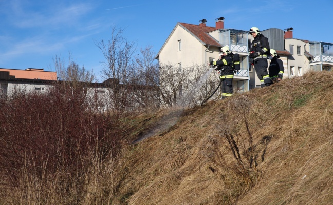 Flurbrand auf einem Erdwall in Wels-Neustadt