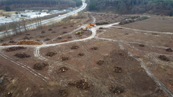 "Baum fällt": Aufregung um Abholzung von 18 Hektar Wald für weiteres Gewerbegebiet in Ohlsdorf