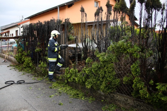 Brand einer Hecke entlang eines Gartenzaunes in Sipbachzell