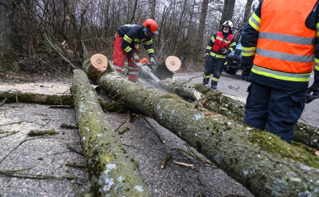 Sturmböen sorgen für mehrere Einsätze der Feuerwehren in Oberösterreich