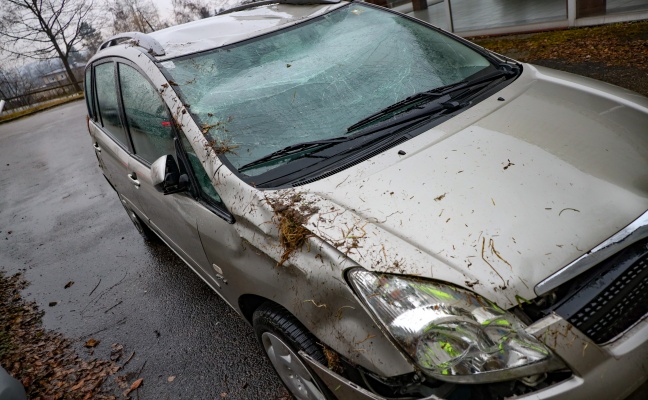 Autolenkerin bei Fahrzeugüberschlag in Schlatt leicht verletzt