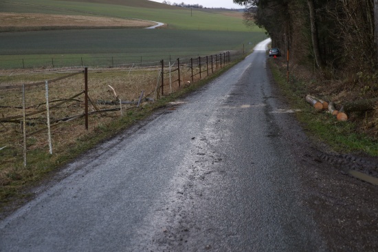 Baum in Edt bei Lambach unmittelbar vor PKW auf Strae gestrzt