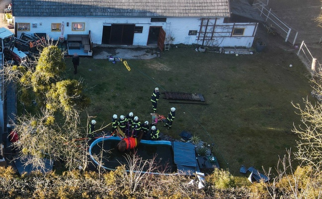 Pferd in Pichl bei Wels durch Feuerwehr aus Pool gerettet