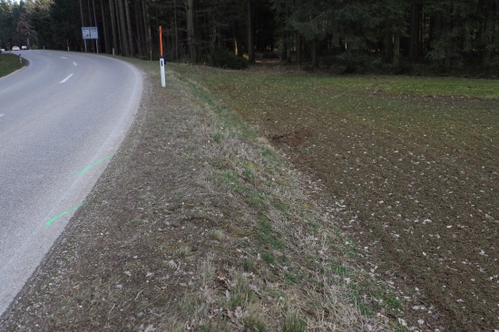 Auto bei Verkehrsunfall in Sierning gegen Waldrand geschlittert