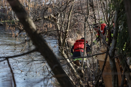 Einsatzkr�fte der Feuerwehr entfernten Baum in Wels-Lichtenegg aus M�hlbach