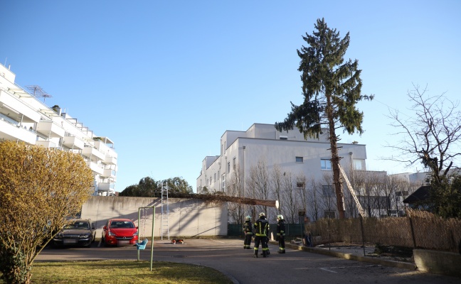 Baum bei missglckter Fllung auf Dach einer benachbarten Fahrradgarage in Wels-Lichtenegg gestrzt