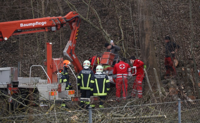 Verletzter Forstarbeiter in Thalheim bei Wels aus Arbeitskorb eines Hubsteigers gerettet