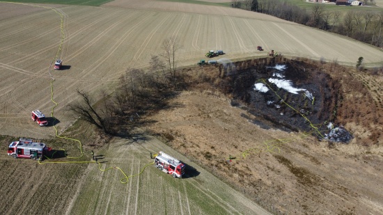 Brand eines Jungwaldes in Gunskirchen sorgt fr lngeren Einsatz von drei Feuerwehren