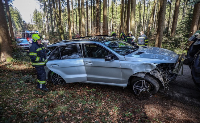 Auto in einem Waldstück in Regau gegen Bäume gekracht